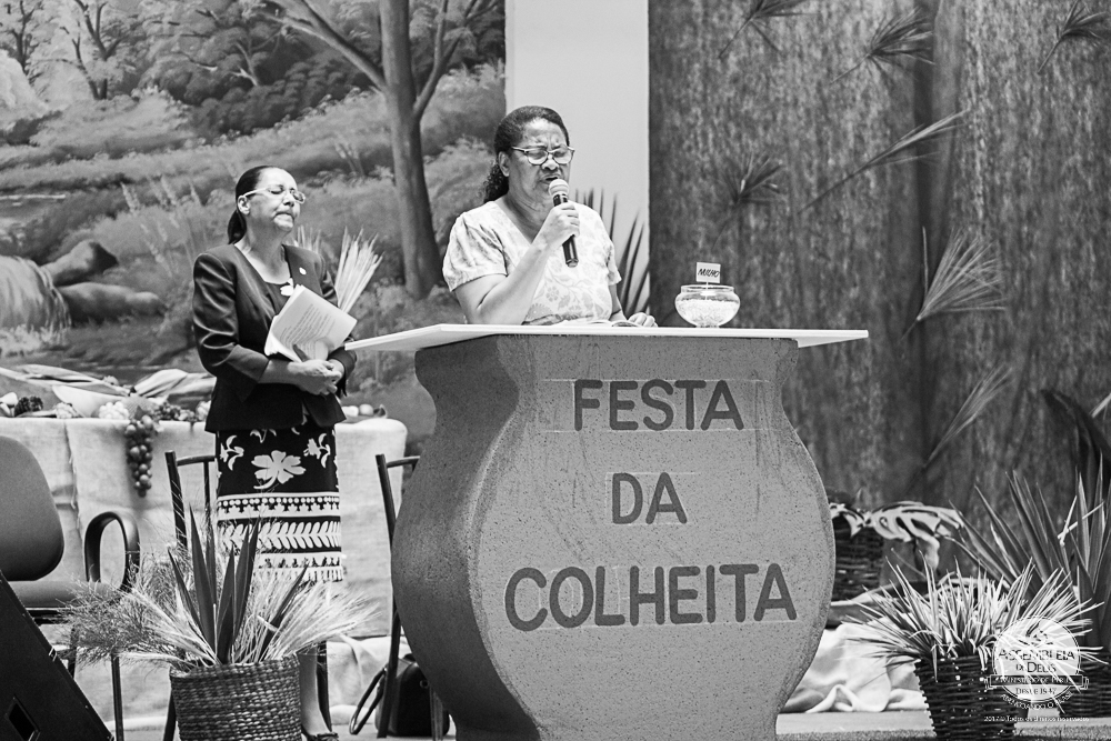 Talentos 2017 - Festa Da Colheita-12